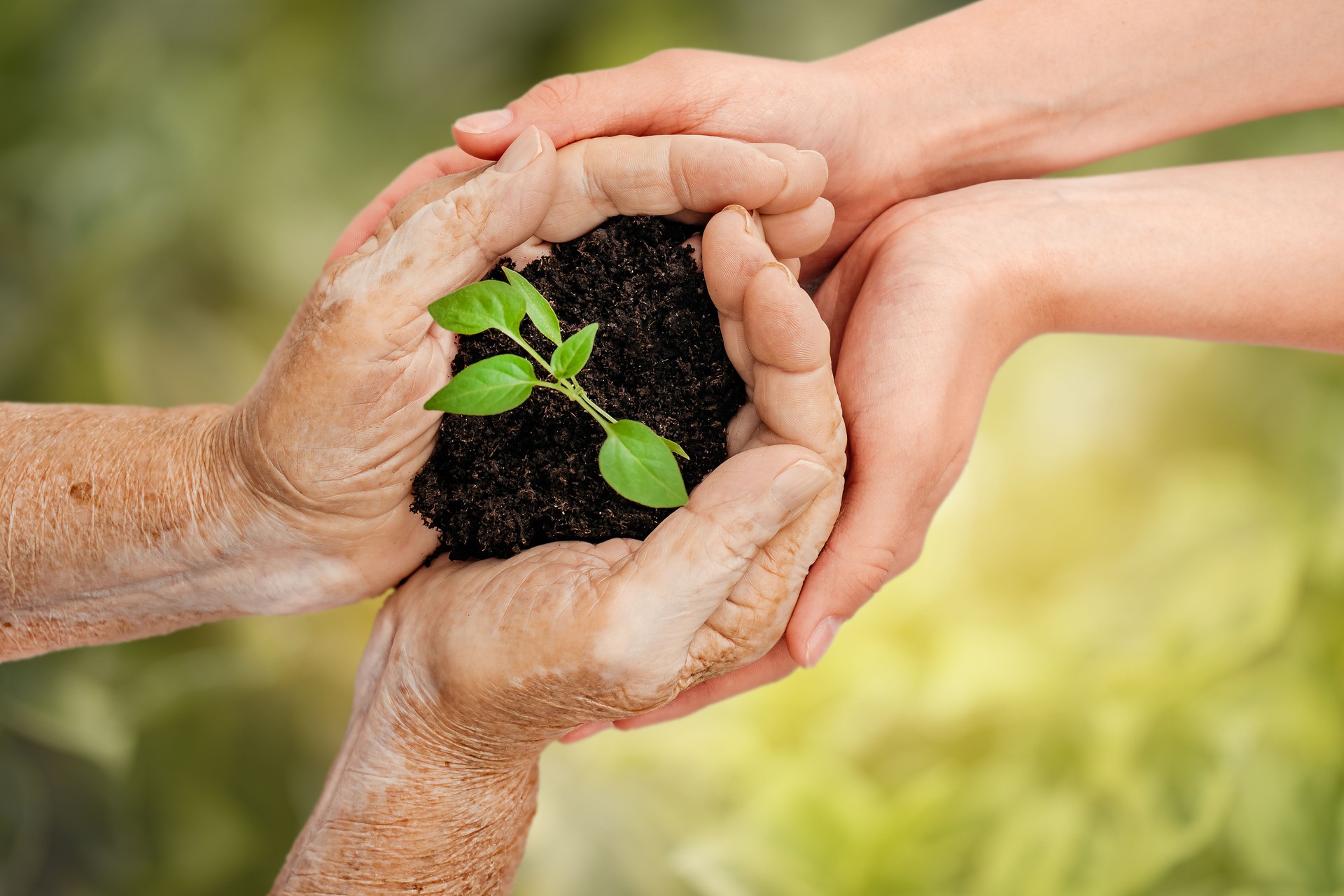 Generations join hands to nurture a green plant in rich soil, symbolizing sustainability, growth, legacy, and the shared responsibility of protecting nature
